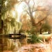 Nature photography - Emerald Green forest - wall decor - weeping willow trees in gold light, 8x8 photograph, rustic
