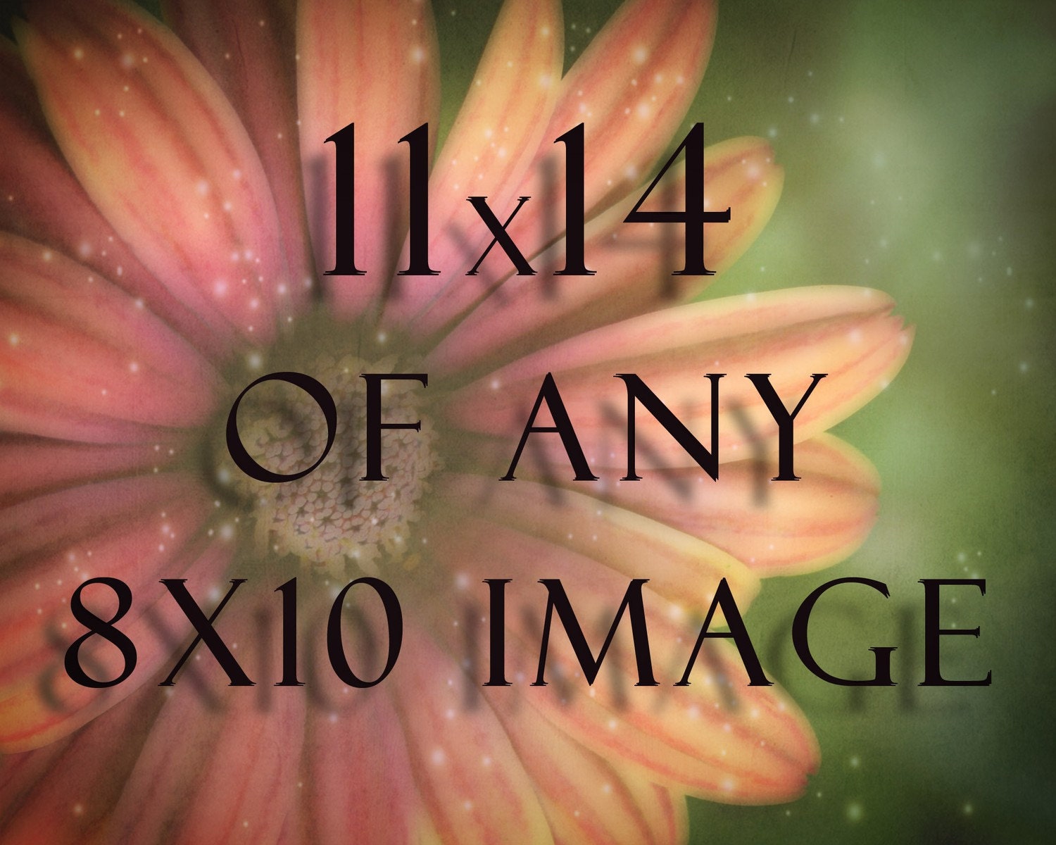 11x14 of any 8x10 Image