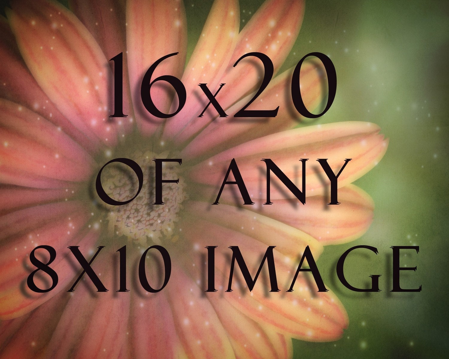 16x20 of any 8x10 Image