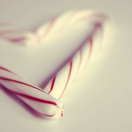 Christmas Photograph - candy canes heart shape red white stripes Christmas 5x5 home decor - FirstLightPhoto