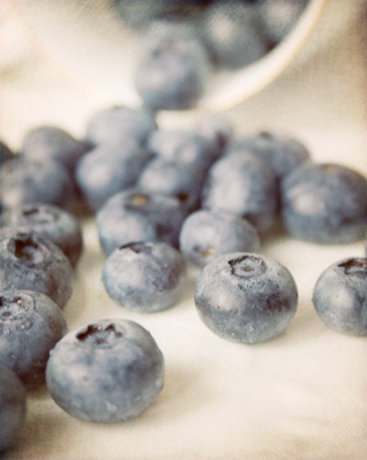 Blueberry Photograph - food fruit blue berries