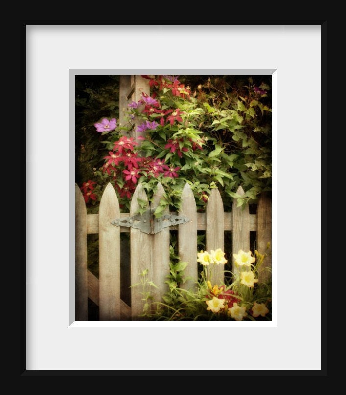 Garden Photograph - Wooden Gate, Flowers, Clematis, Country, Trellis - Garden Gate
