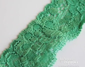 Mint Green Elastic Lace Trim - 3 Yards