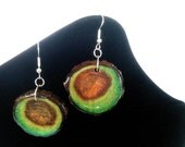 Owl Eyed Girl - Lime Green to Turquoise Blue Ombre with Brown Natural Wood Tree Ring and Silver Earrings
