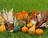 Cornuccopia Photo Magnet