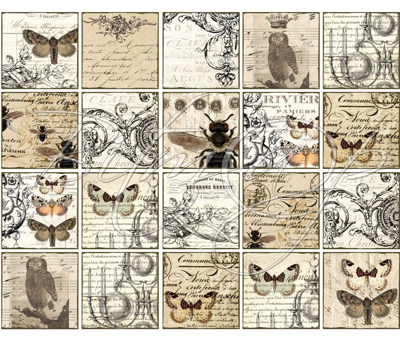 INSTANT DOWNLOAD diGiTal CollAge SheEt SquAReS DiGiTaL doWnLoaD BlaCk AnD WhiTe SePia OwL ButTerFly Bee EphEmeRa SCrApBooKinG suPPly, No. 19