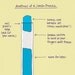 Anatomy of a Jumbo Freezie - signed print