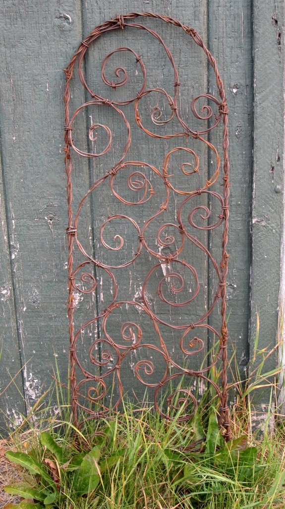 Bodacious Barbed Wire Trellis Bristling With Spiky Spirals