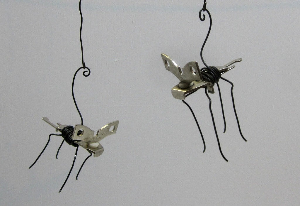 Interesting Pair of Can Opener Wasps