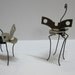 Interesting Pair of Can Opener Wasps