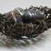 Barbed Wire Nest, With Eggs Unique Recycled Art