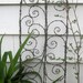 Beautiful Spirals Barbed Wire Trellis Garden Art