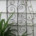 Beautiful Spirals Barbed Wire Trellis Garden Art