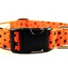 Orange with Black Stars Fabric Dog Collar