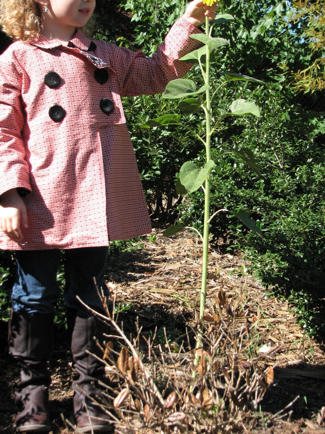 pdf COLD SNAP jacket pattern and tutorial...sizes 2T-5T, easy-to-sew