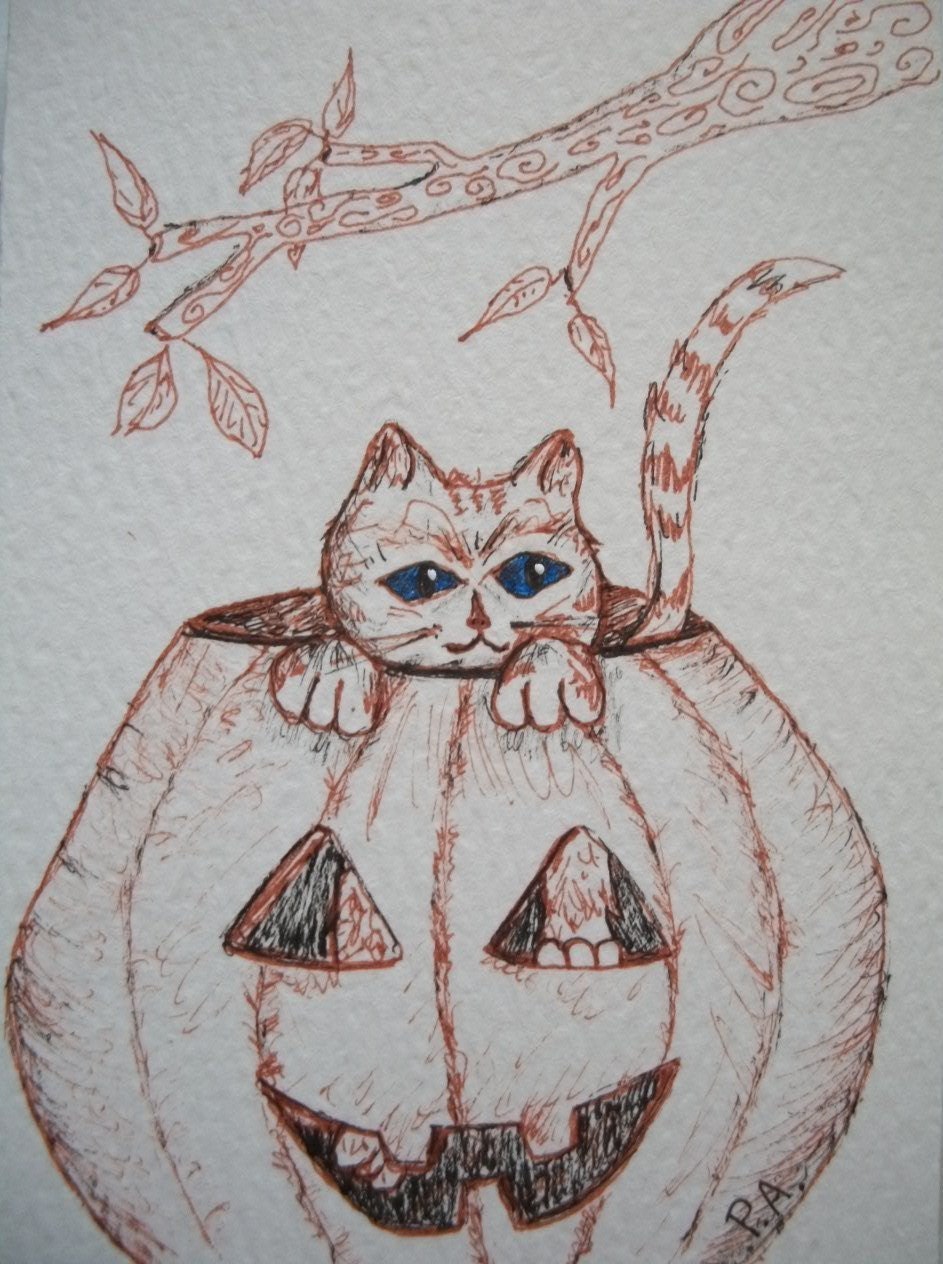 Clearance - Cat in Pumpkin ACEO - "In A Punk"  Ink Drawing