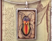 Illustrated Red Beetle Resin Pendant
