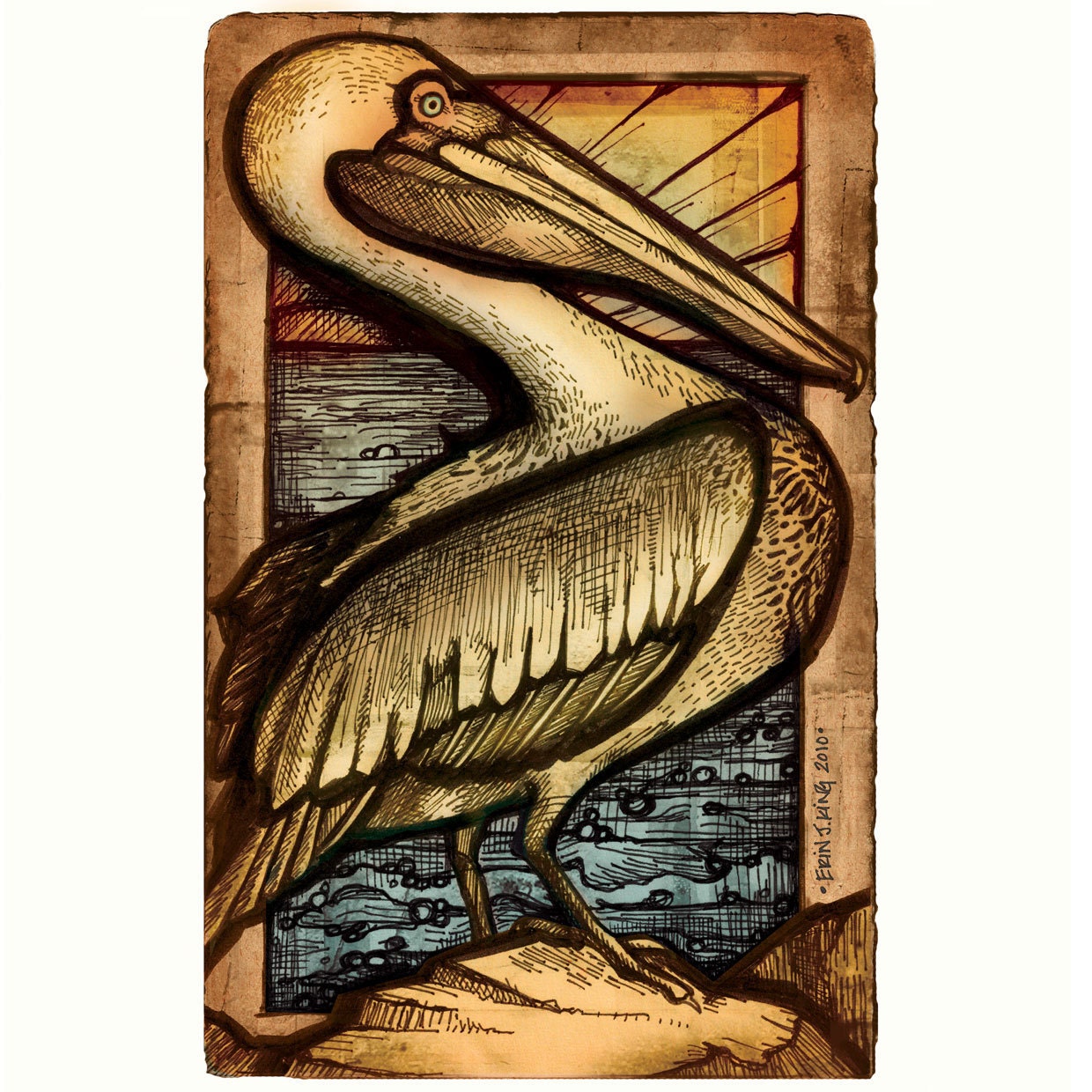 Brown Pelican - Limited Edition Story Book Print - 8 x 10