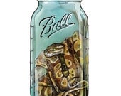 Ball "Jar" Python Limited Edition Print - 8 x 10