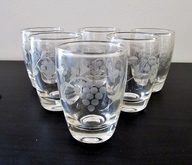Shot Glasses Etched with Grape Pattern Set of 6