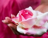 Blushing Pink Rose Flower Hair Clip