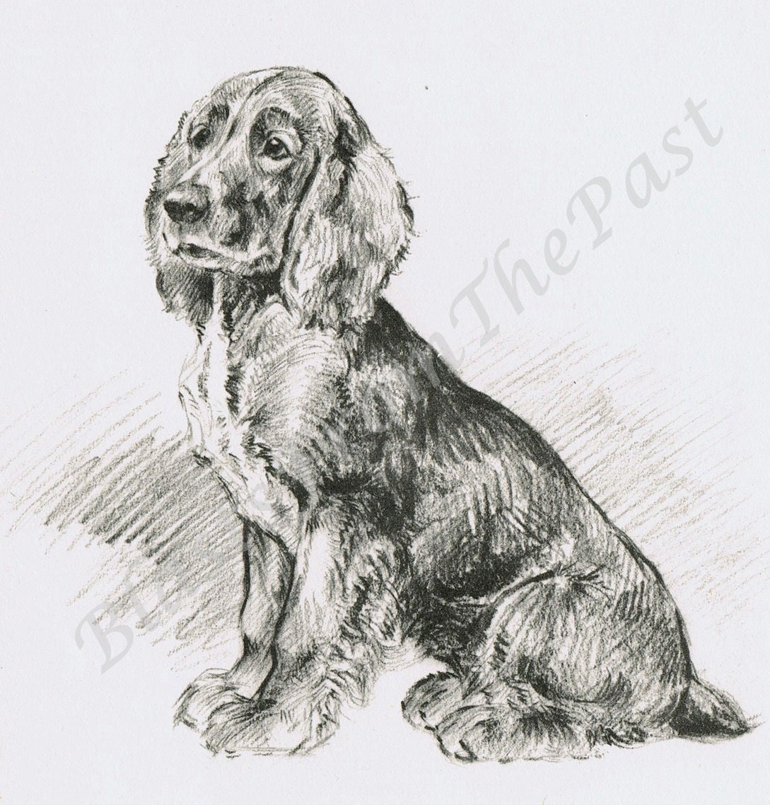 PUPPY Vintage Pencil Sketch Print  'When I'm Grown Up', Adorable, Beautifully Illustrated, Playful, Dog Illustration, Sweet, Cute