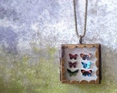 Butterfly Shadowbox Collection Locket Necklace. Natural History. Butterfly Jewelry