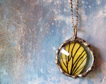 Butterfly Wing Necklace. Sterling Silver Chain. Natural History. Woodland Butterfly Jewelry