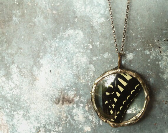 Real Butterfly Wing Pendant Necklace. Black Swallowtail. Butterfly Wing Boho  Jewelry