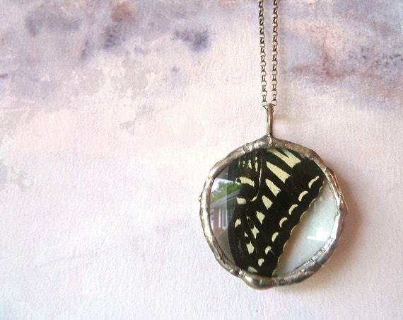 Real Butterfly Wing Pendant Necklace. Black Swallowtail. Butterfly Wing Boho  Jewelry