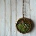 Moss Terrarium Miniature Mushroom Woodland Locket Necklace. The Phineas Alazar Grubb Saga Continues