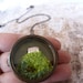 O'er the Cliffs of Dover Necklace. English Country Style. Moss Terrarium Miniature Locket Sterling Silver Chain Miniature Terrarium Jewelry