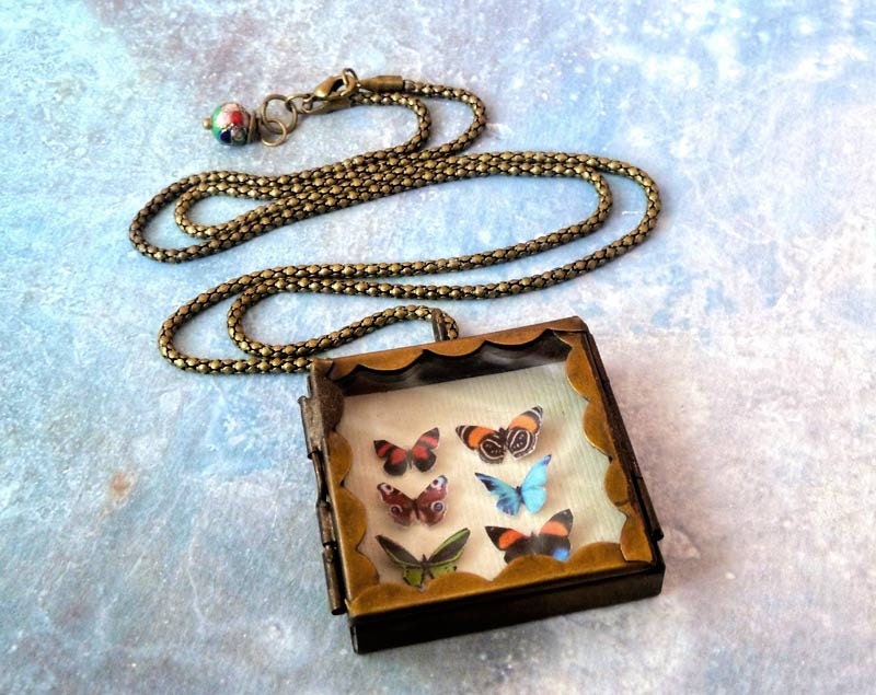 Butterfly Shadowbox Collection Locket Necklace. Natural History. Butterfly Jewelry