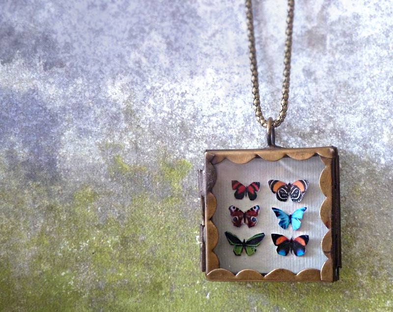 Butterfly Shadowbox Collection Locket Necklace. Natural History. Butterfly Jewelry
