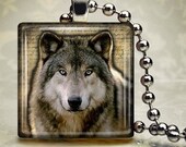 Wolf Stare - Glass Tile Pendant (LWD6)