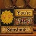 You Are My Sunshine Summer Sign