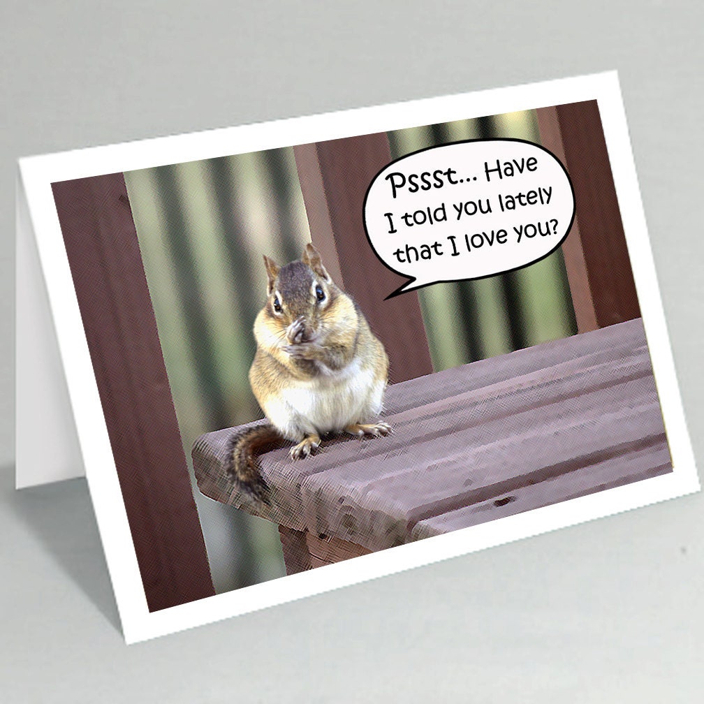 Love notes card - Psst... Have I told you lately that I love you - Chipmunk card - Cute card funny card (Ready to ship) 041LU
