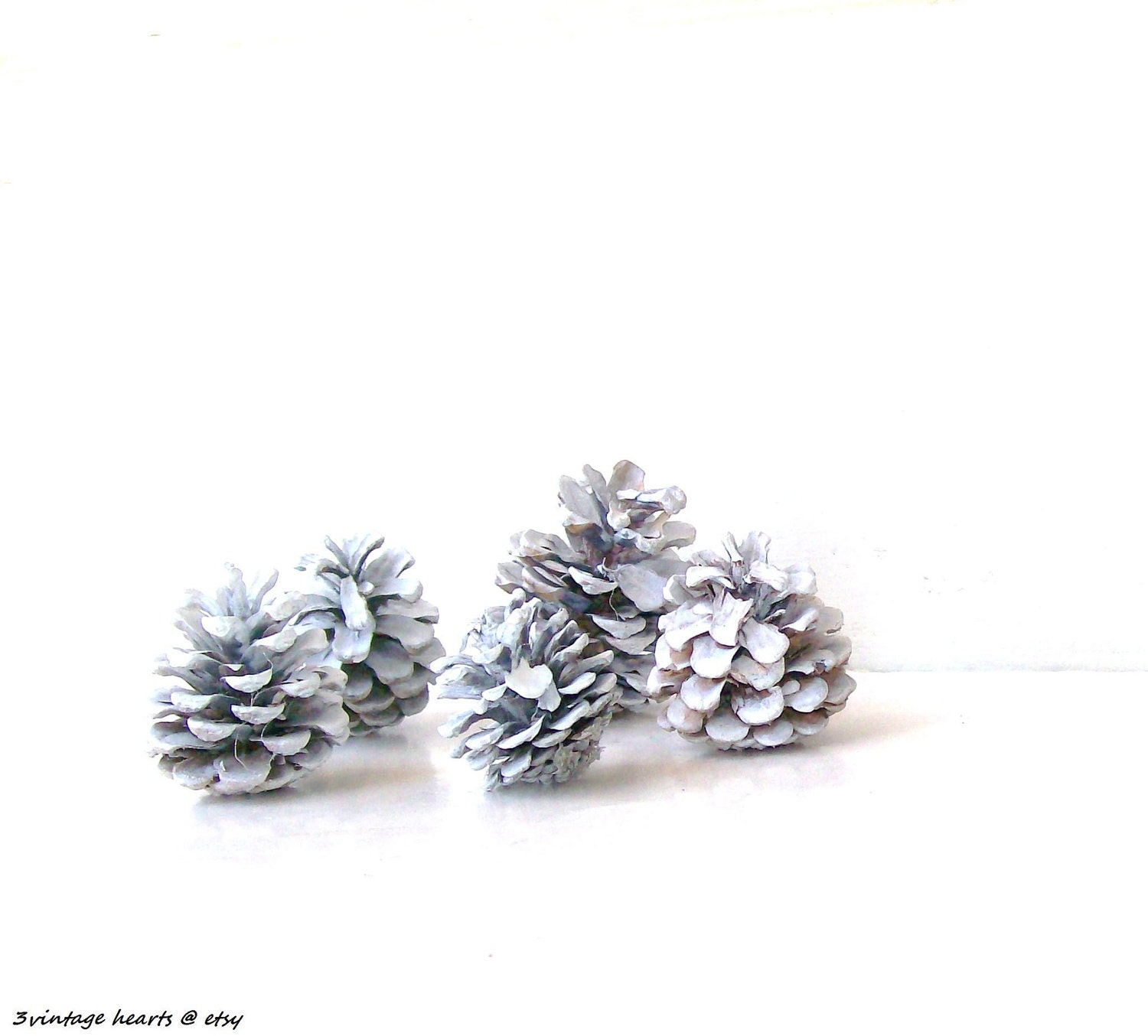 Rustic Wedding Pinecones. Place Card Holders. Photo Displayers. Winter Parties. Shabby Chic WHite. 12 pinecones