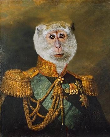 Prince Primate II - 11 X 17 Fine Art Print