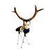 Andrea the Delicate Doe - 8 X 10 Art Print