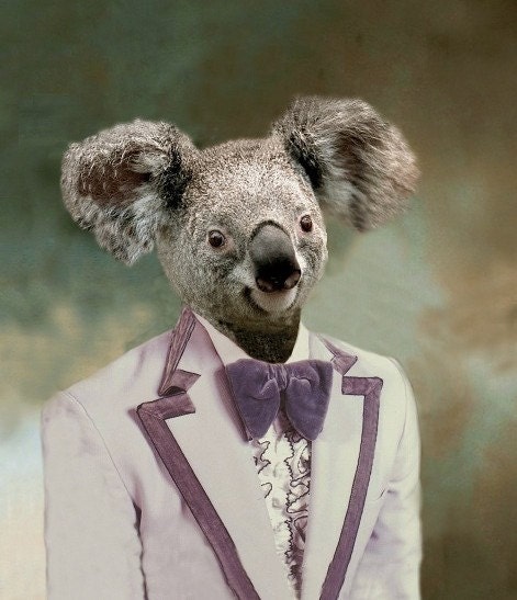 Kevin the Koala - 5 X 7 Fine Art Print