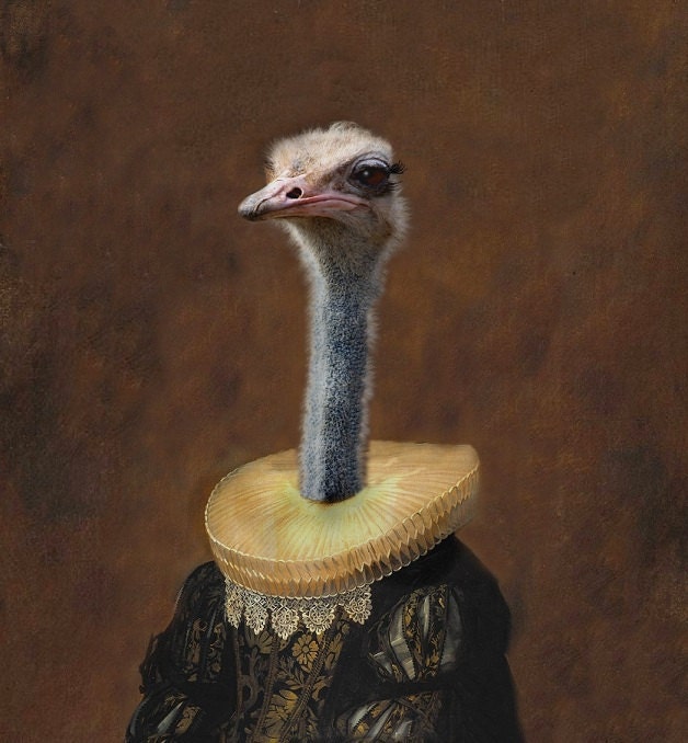 Marquise de Struthio - 8 X 10 Fine Art Print