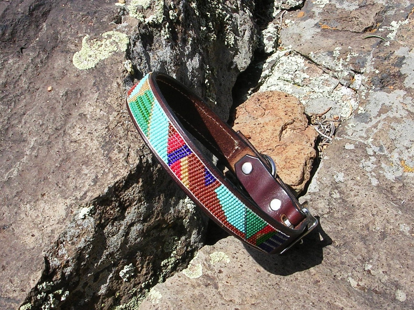 Beaded dog collar