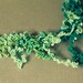 textile necklace - moss coral sculptures - Kelp Filigree - turquoise / teal / green / seafoam