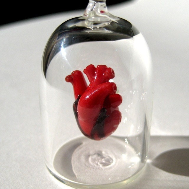 Anatomical Heart Jewelry - Necklace - Heart in a Jar