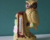 Vintage Tennessee Owl Thermometer Figurine