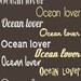 Soul Sufer Adventure - Tropical Summer Text - Vinyl wall art decals stickers by 3rdaveshore brown tan sand