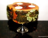 Lichen and Moss covered 3 light  Cedar candle holder-Silver candlestand NOT included