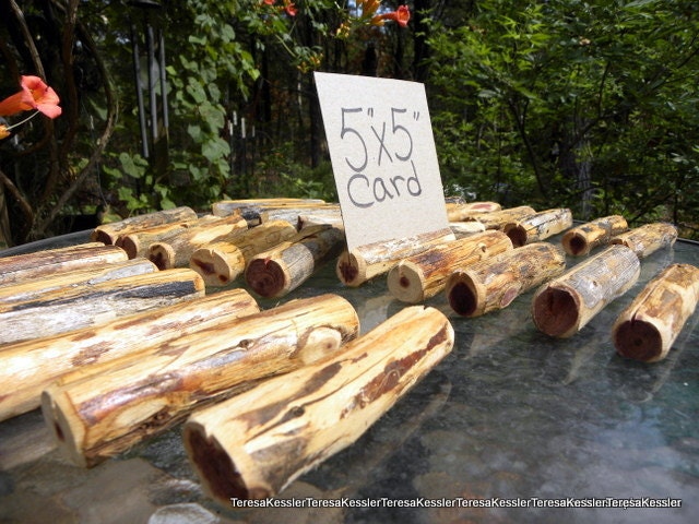 6 - 5" Cedar Tree Branch Wedding place card holders-Place settings-Wedding Table numbers-Baby Shower place card holders