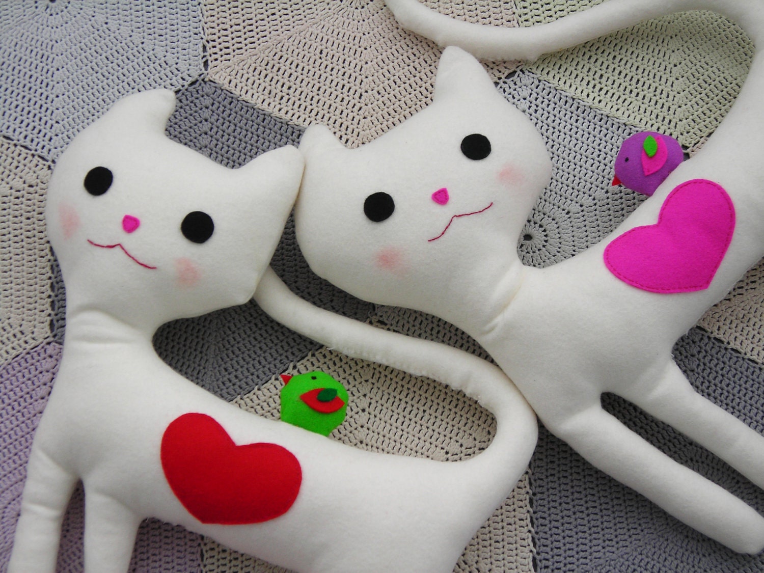 Lovely cat